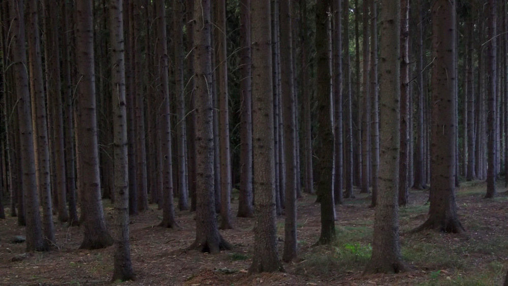 Золотые стёжки Чешского Рая 2372.JPG