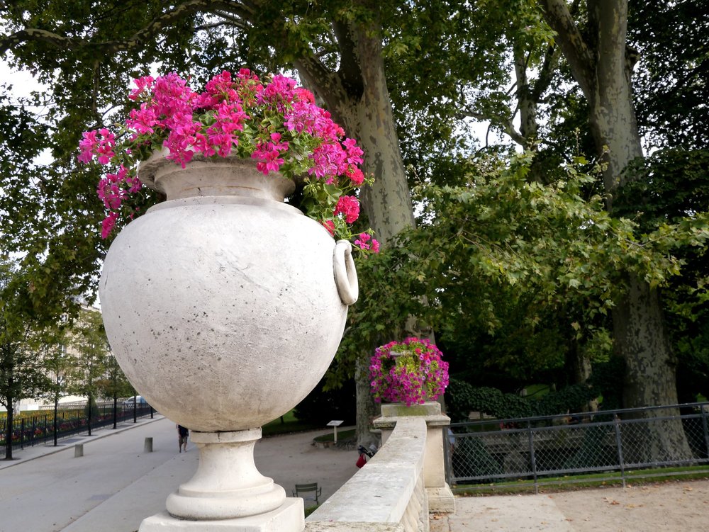 _1380040.JPG 2.jpg 2.jpg