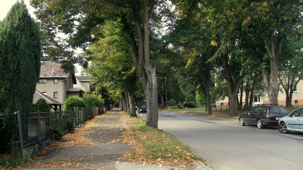 Золотые стёжки Чешского Рая 2162.JPG