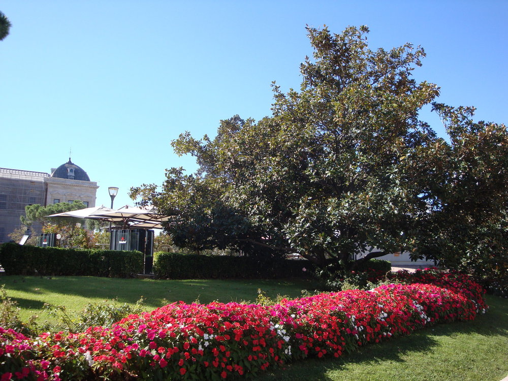 фото испания 2018 окт 008.JPG