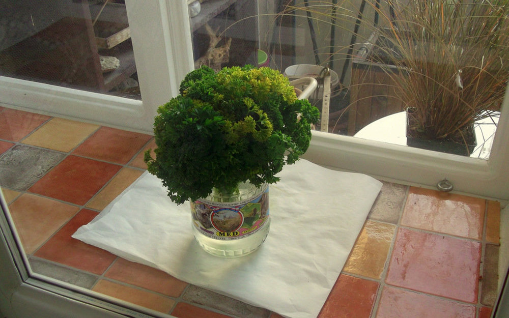 Золотые стёжки Чешского Рая 2945.JPG