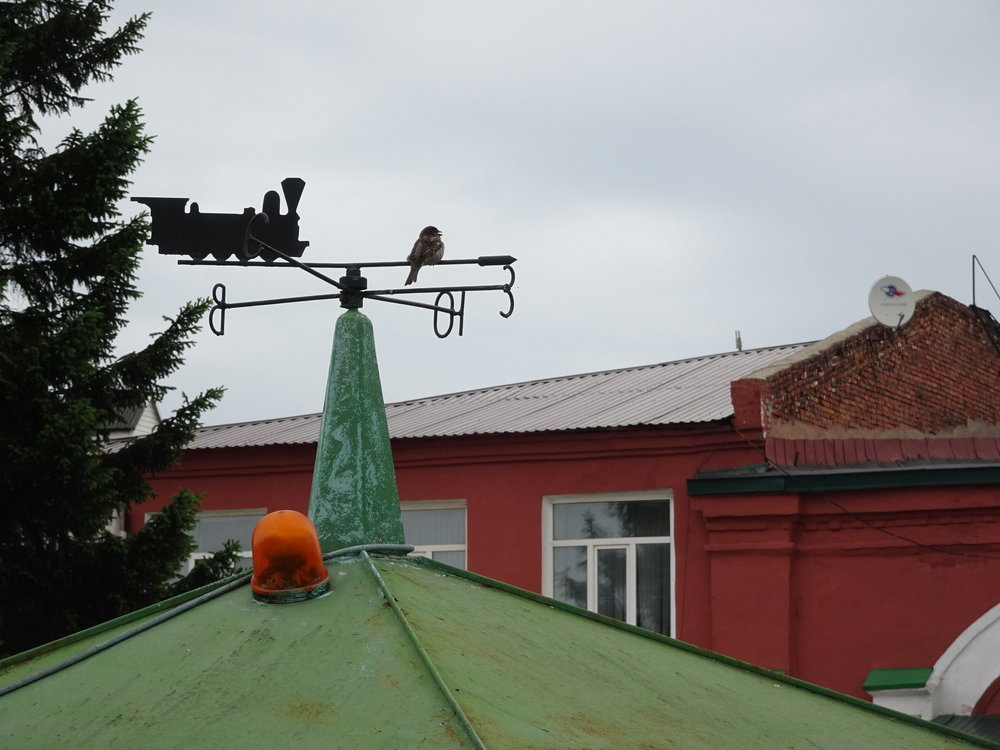93.jpg