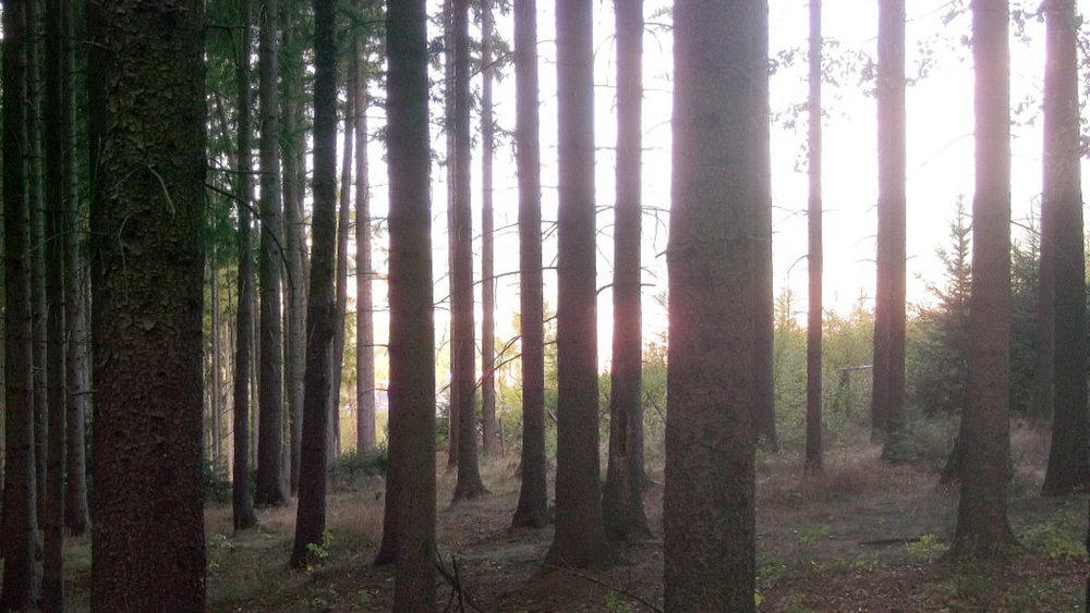 Золотые стёжки Чешского Рая 2374.JPG