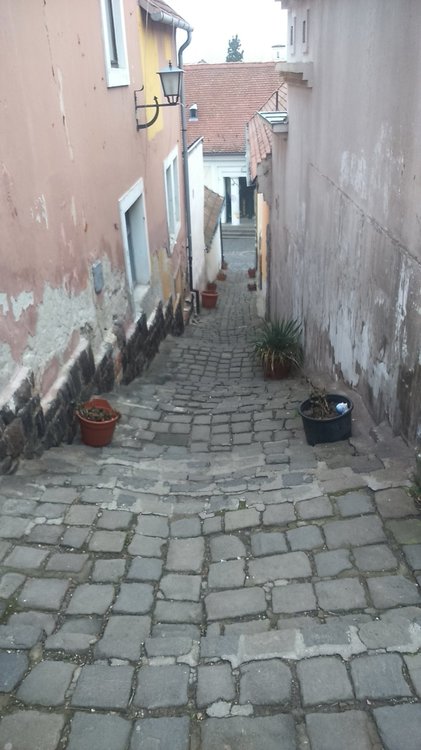 DSC_1490.JPG