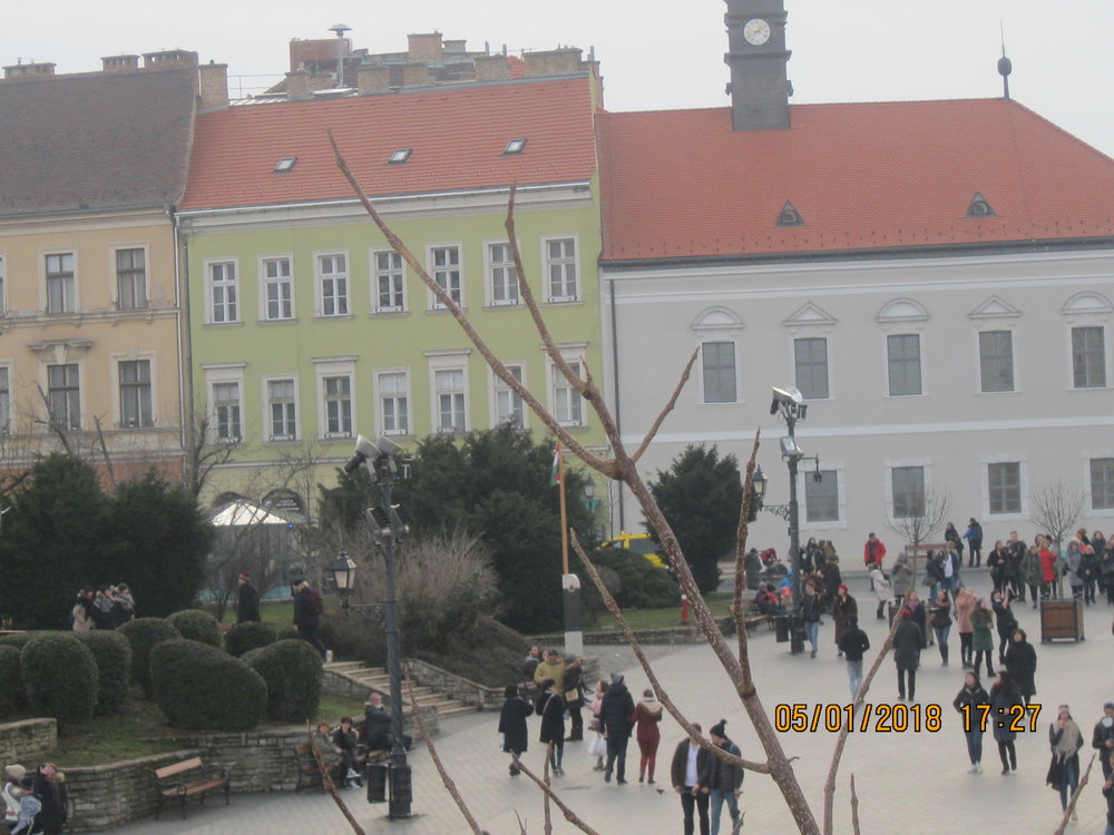 IMG_1417.JPG