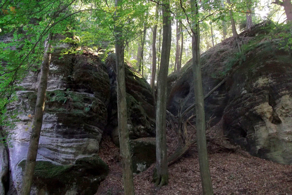 Золотые стёжки Чешского Рая 2785.JPG