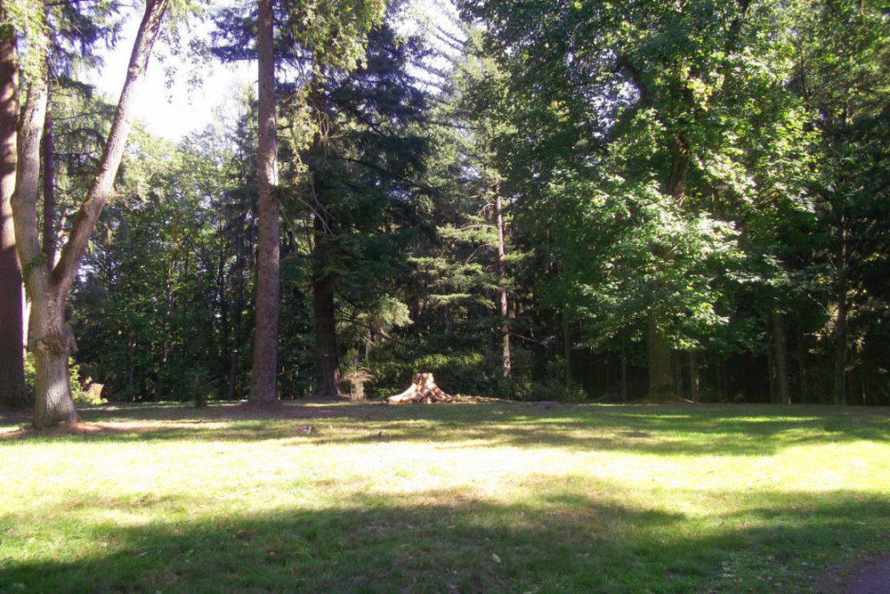 Золотые стёжки Чешского Рая 2770.JPG