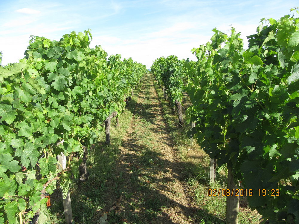 2GT 1 часть2016 1518.JPG