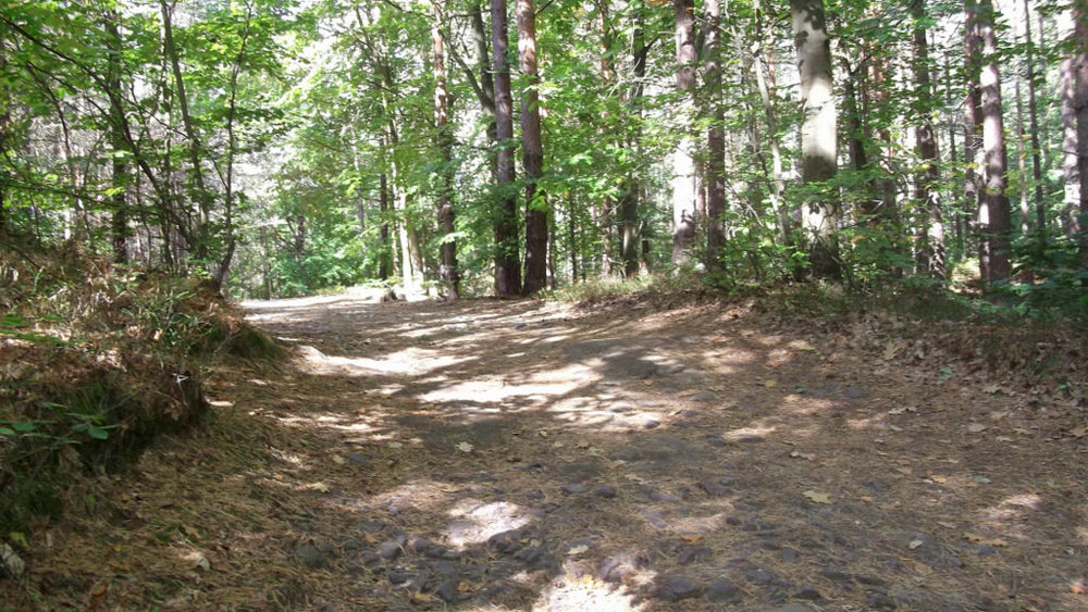 Золотые стёжки Чешского Рая 2556.JPG