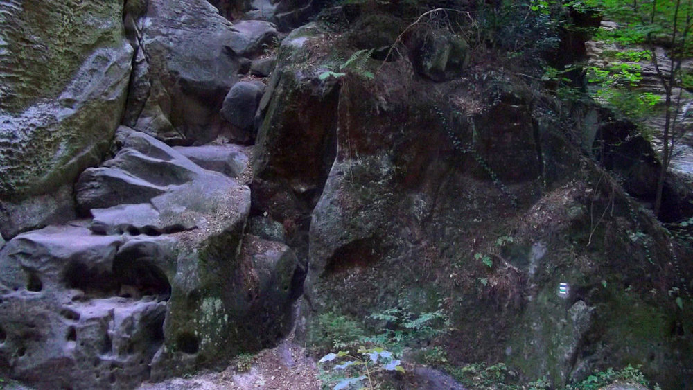 Золотые стёжки Чешского Рая 2892.JPG