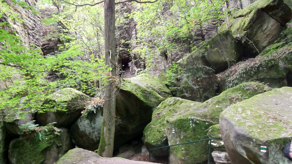 Золотые стёжки Чешского Рая 208.JPG