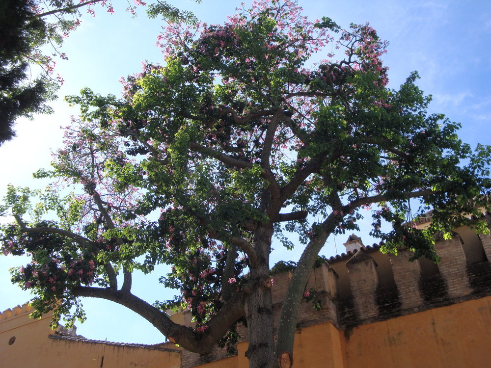 фото испания 2018 окт 263.JPG