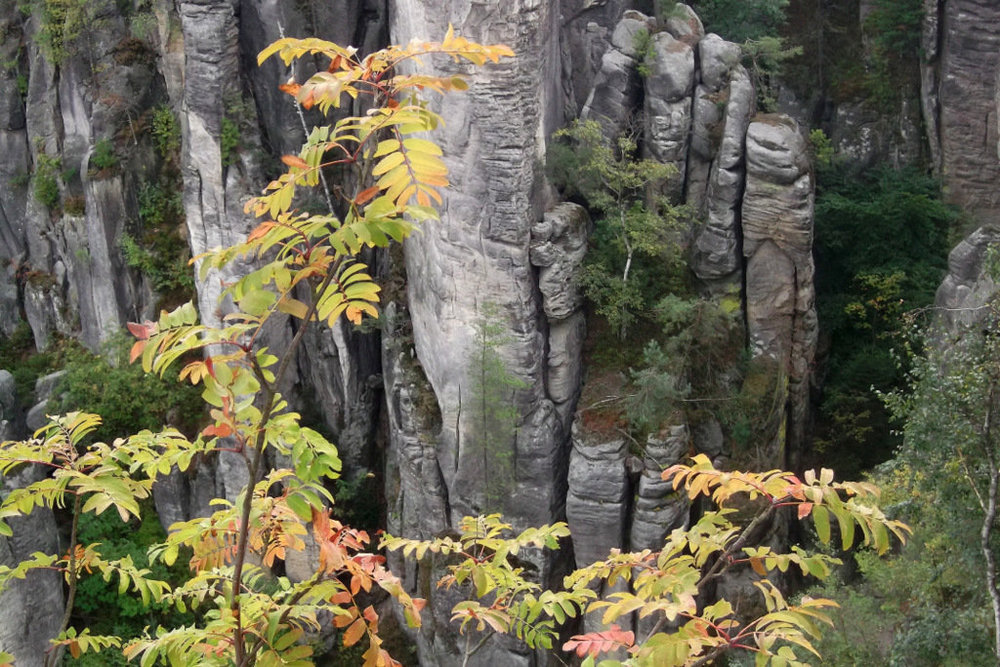 Золотые стёжки Чешского Рая 125.JPG