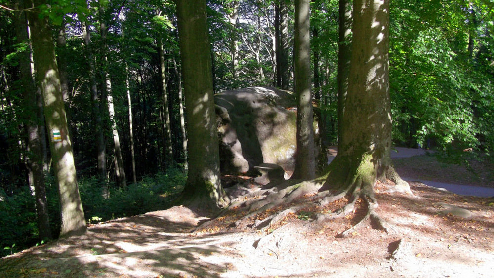 Золотые стёжки Чешского Рая 2564.JPG