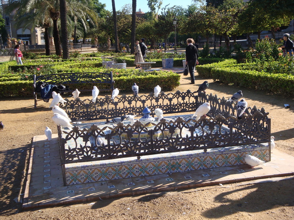 фото испания 2018 окт 214.JPG