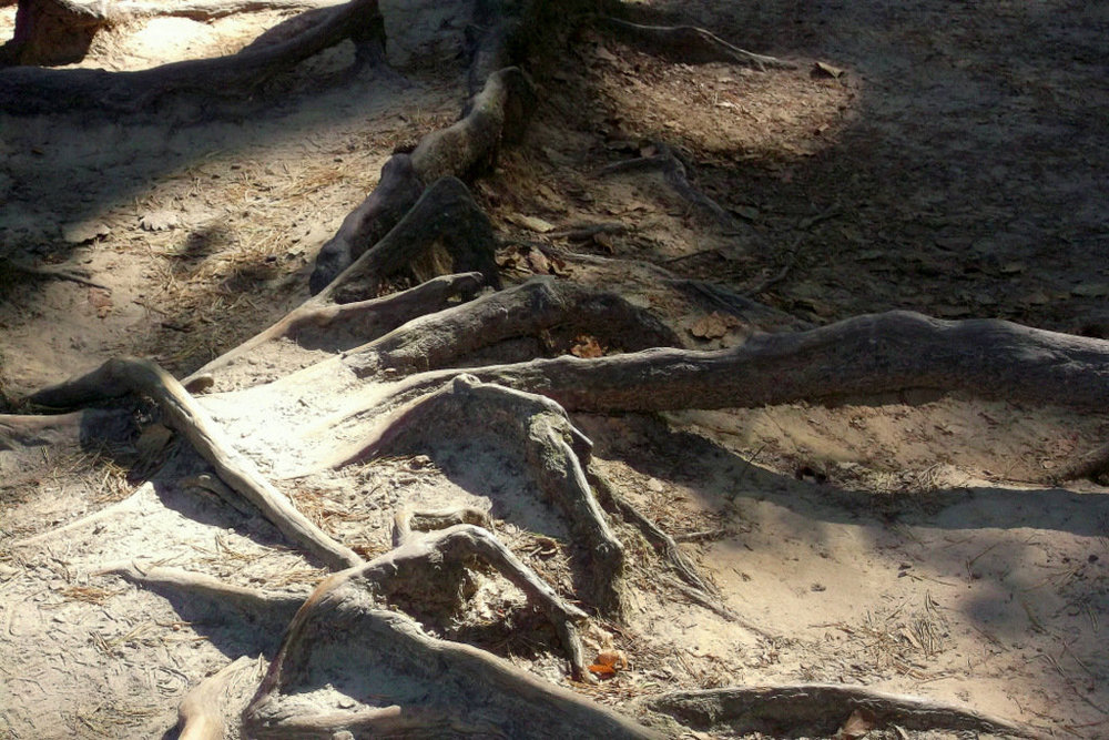 Золотые стёжки Чешского Рая 2743.JPG