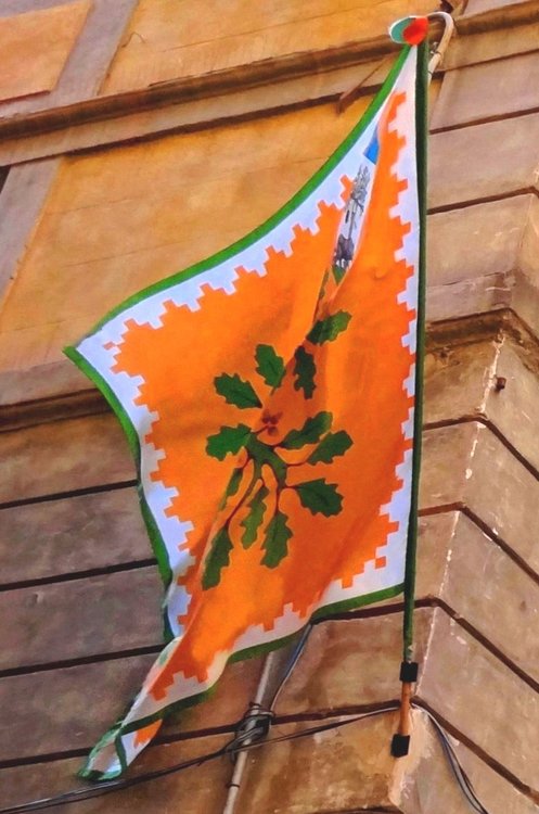 DSC04937лесная чаща.JPG