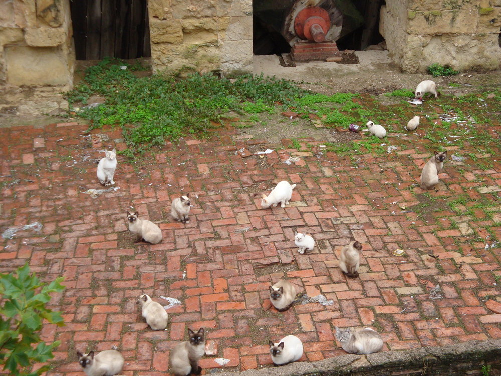 фото испания 2018 окт 202.JPG