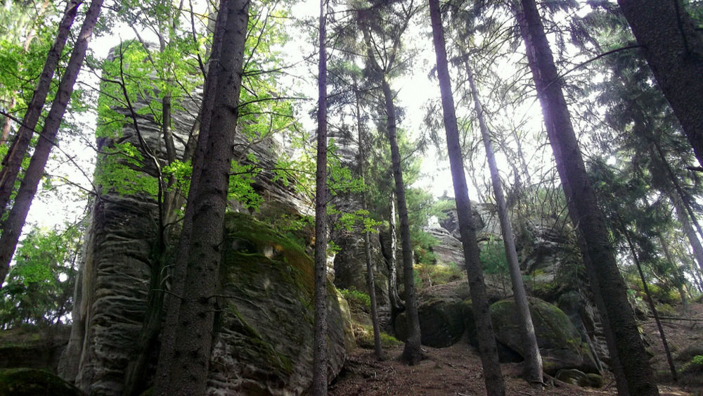 Золотые стёжки Чешского Рая 077.JPG