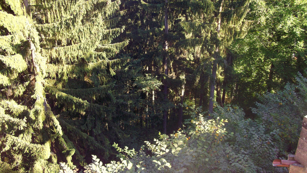 Золотые стёжки Чешского Рая 2633.JPG