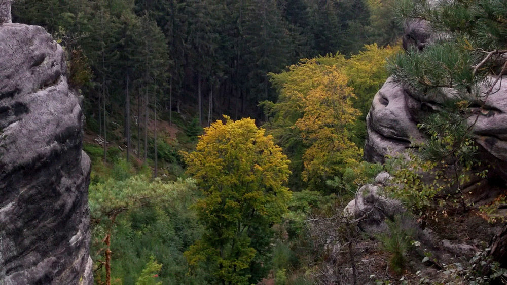 Золотые стёжки Чешского Рая 240.JPG