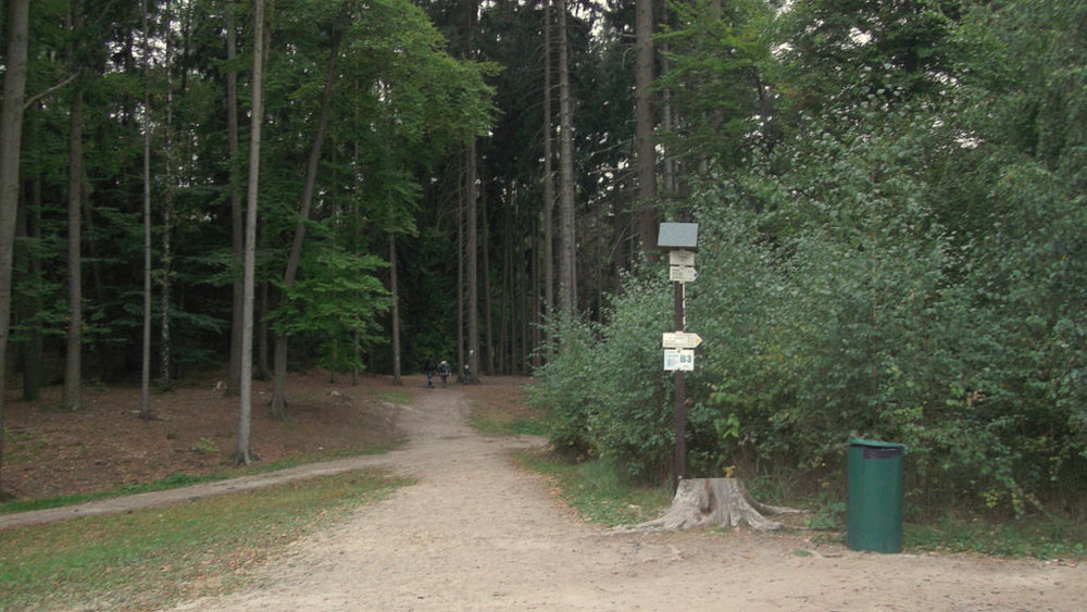 Золотые стёжки Чешского Рая 232.JPG