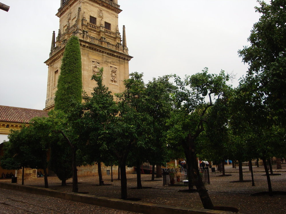 фото испания 2018 окт 107.JPG