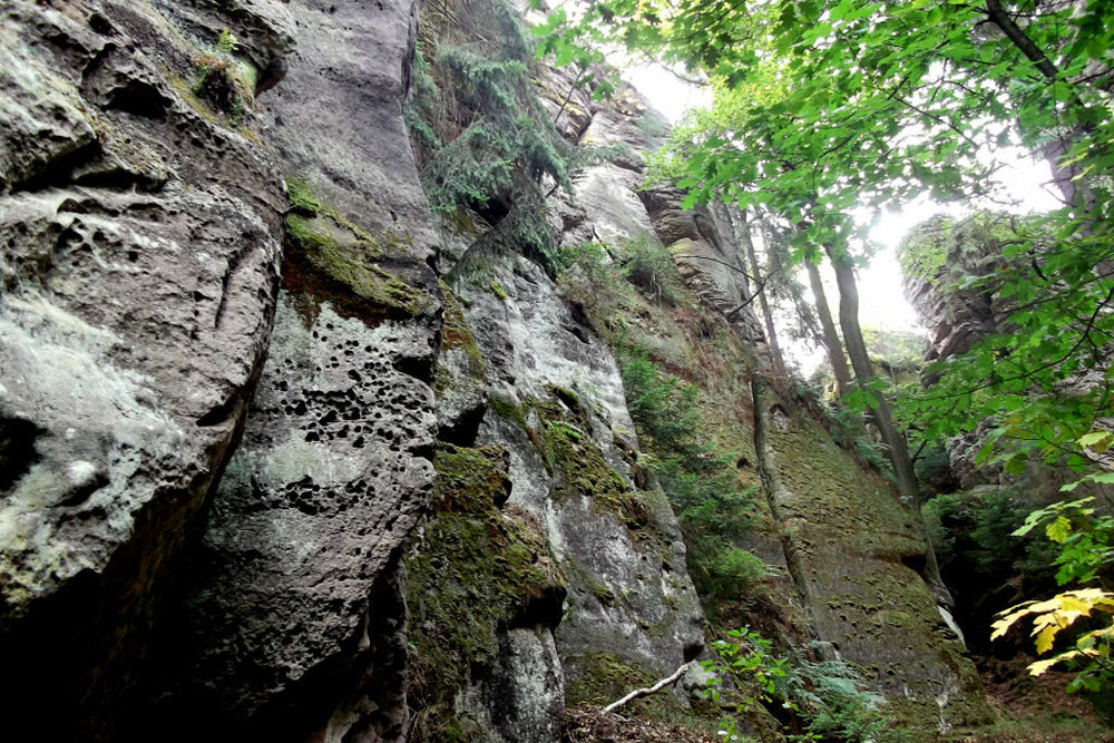 Золотые стёжки Чешского Рая 167.JPG