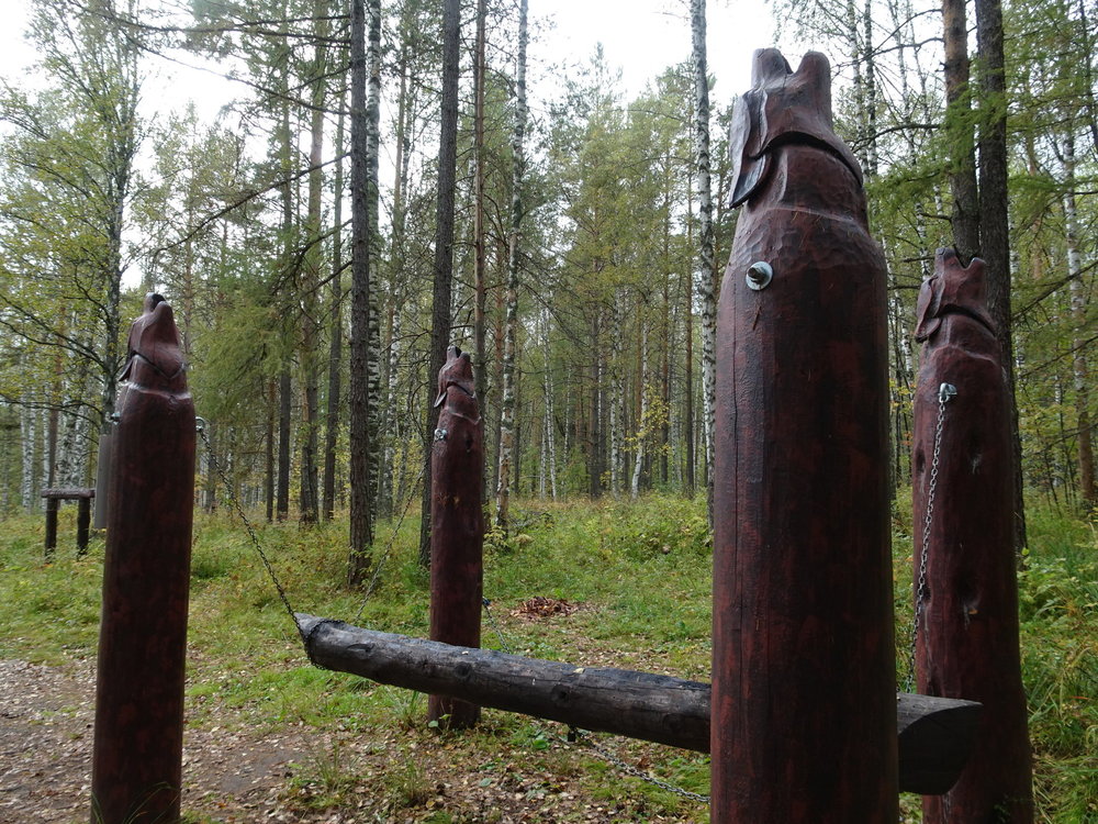 31.jpg