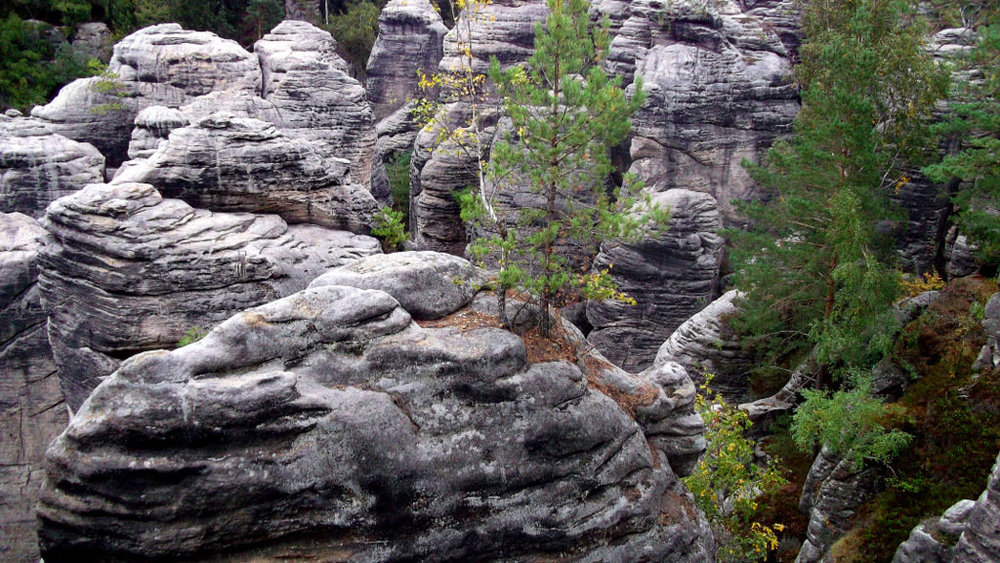 Золотые стёжки Чешского Рая 250.JPG