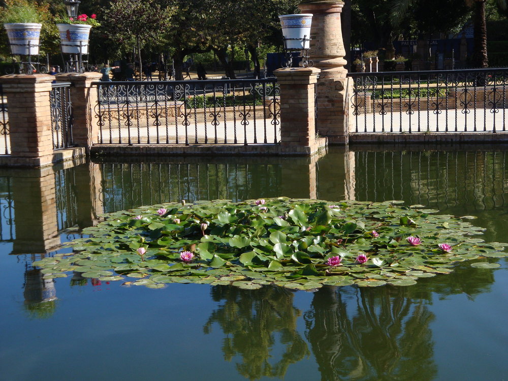 фото испания 2018 окт 221.JPG