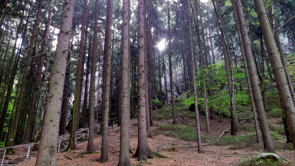 Золотые стёжки Чешского Рая 072.JPG