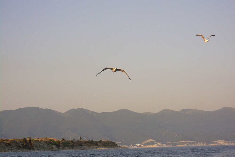 Золотые стёжки Чешского Рая 2056.JPG