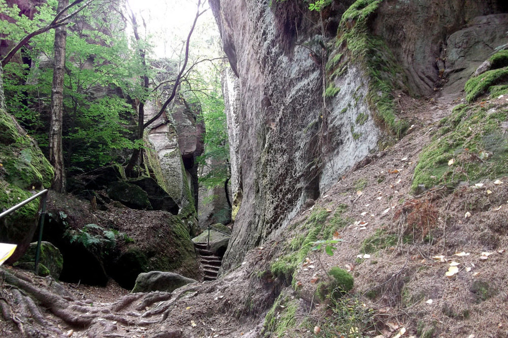 Золотые стёжки Чешского Рая 180.JPG