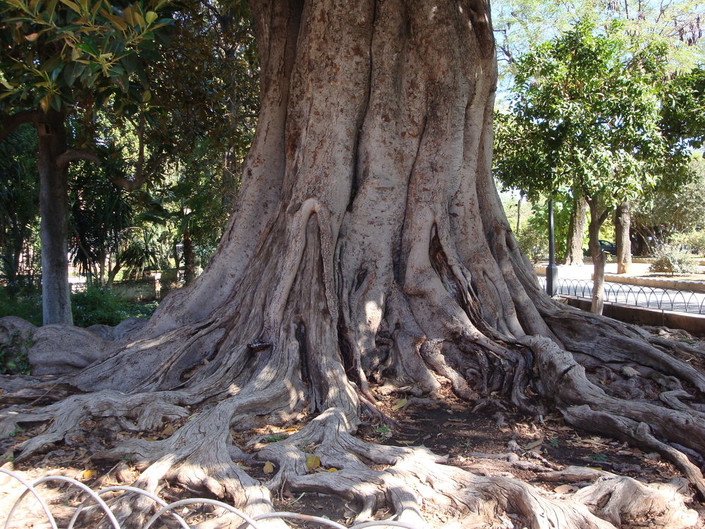 фото испания 2018 окт 255.JPG