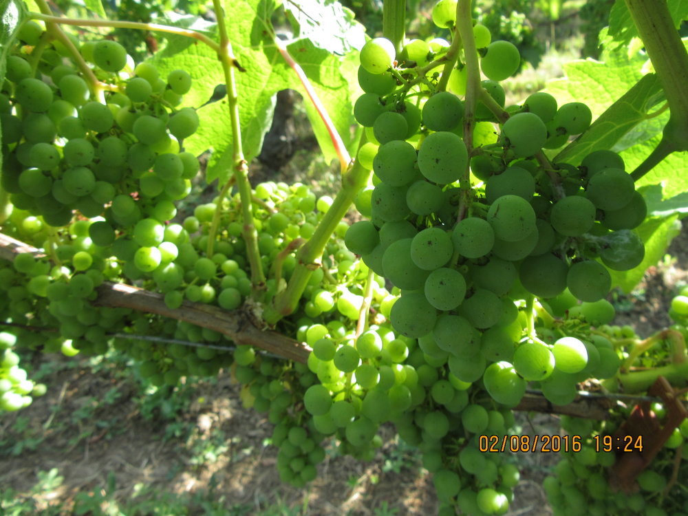 2GT 1 часть2016 1522.JPG