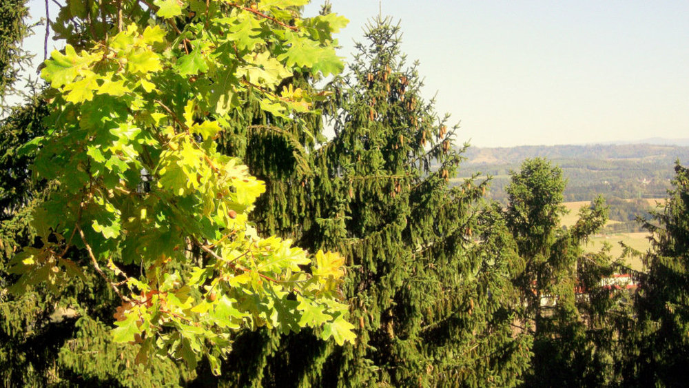 Золотые стёжки Чешского Рая 2634.JPG