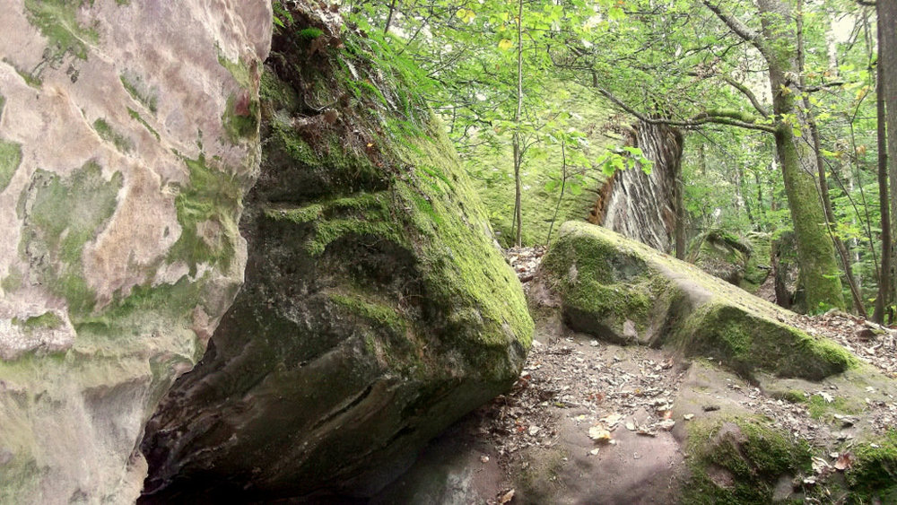 Золотые стёжки Чешского Рая 220.JPG