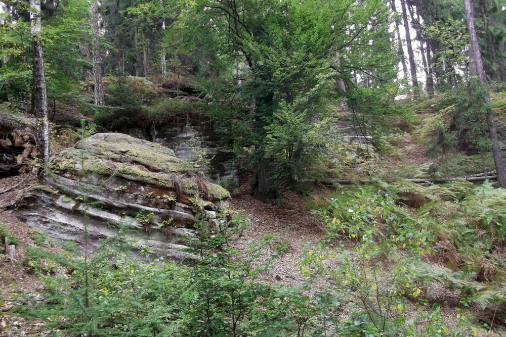 Золотые стёжки Чешского Рая 147.JPG