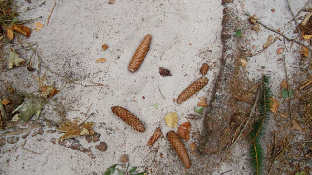 Золотые стёжки Чешского Рая 085.JPG