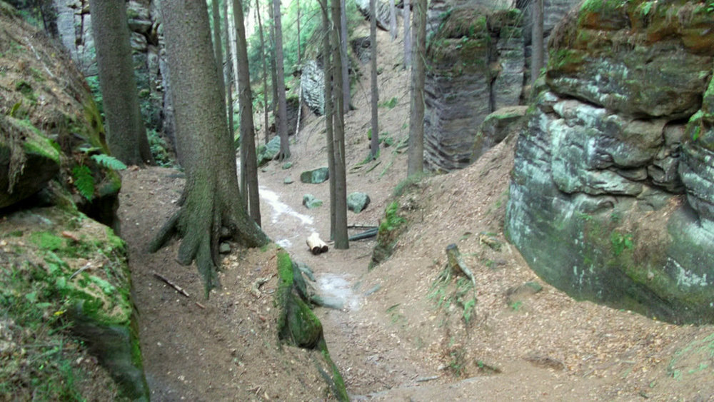 Золотые стёжки Чешского Рая 115.JPG