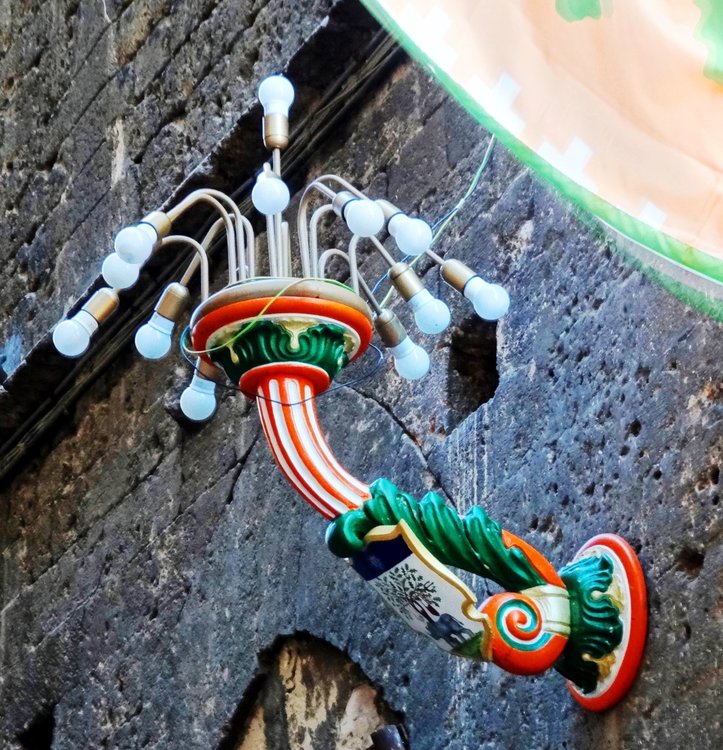 DSC04938лесная чаща.JPG