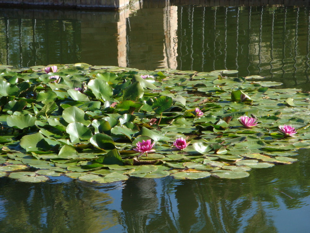 фото испания 2018 окт 222.JPG