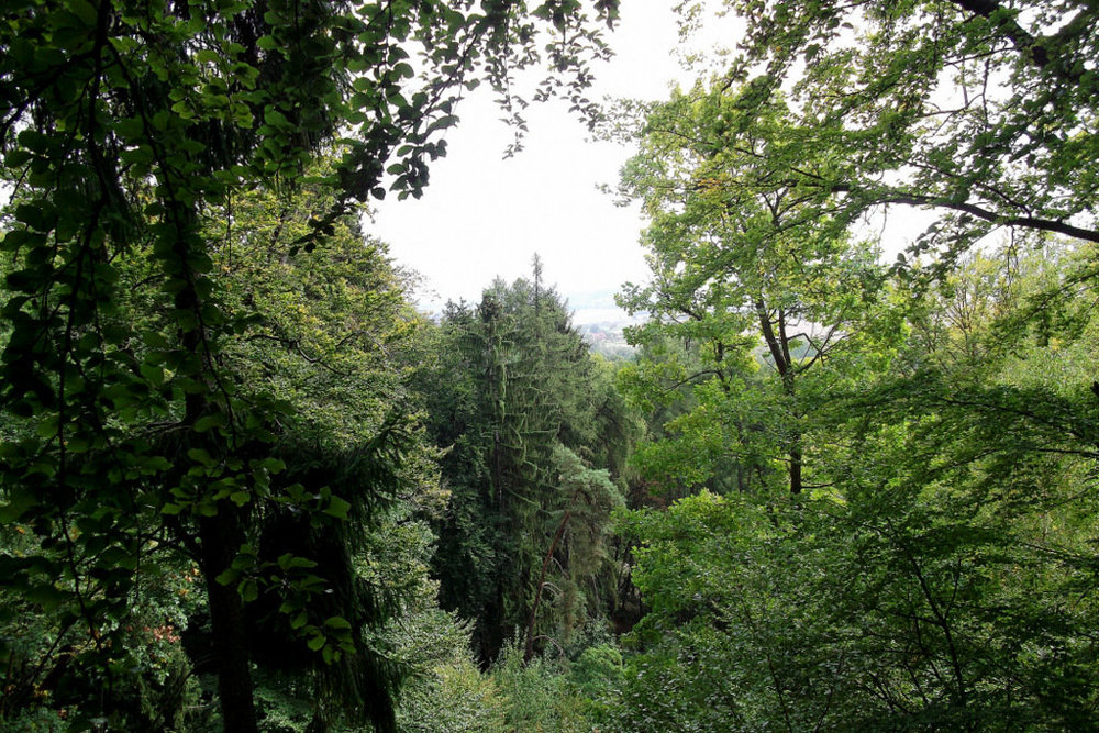 Золотые стёжки Чешского Рая 198.JPG