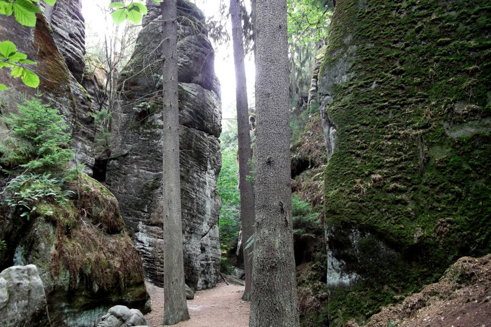 Золотые стёжки Чешского Рая 161.JPG