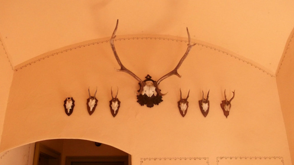 Золотые стёжки Чешского Рая 2603.JPG