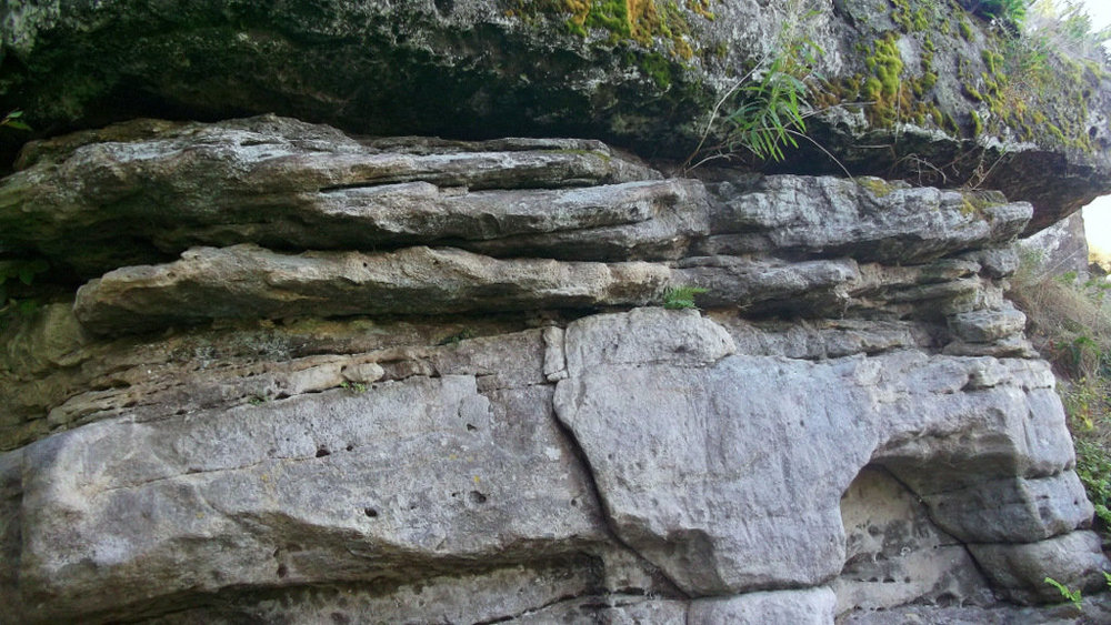 Золотые стёжки Чешского Рая 2672.JPG