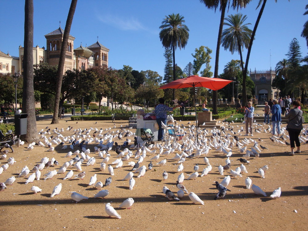 фото испания 2018 окт 213.JPG