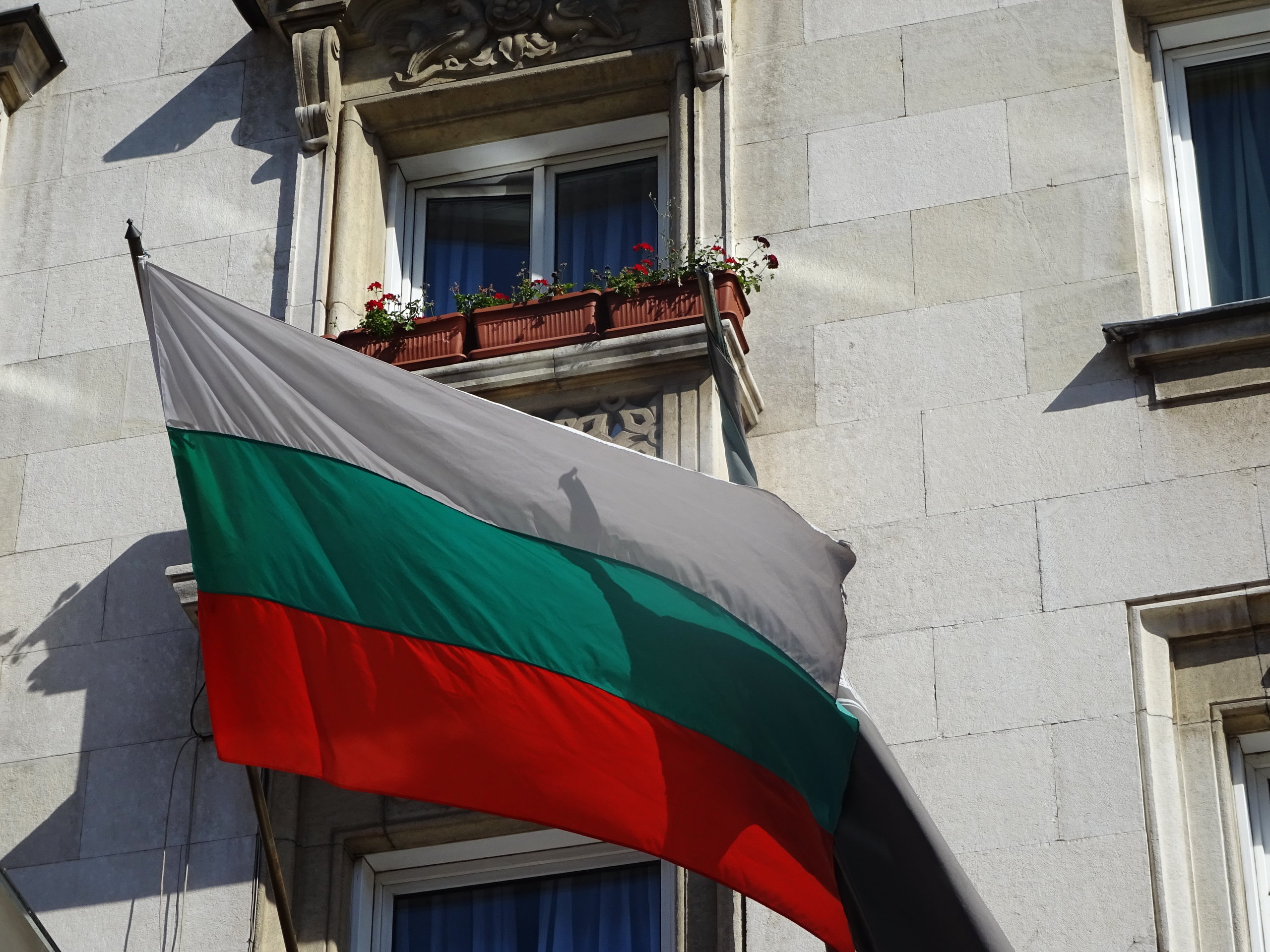 Флаг россии и болгарии вместе фото