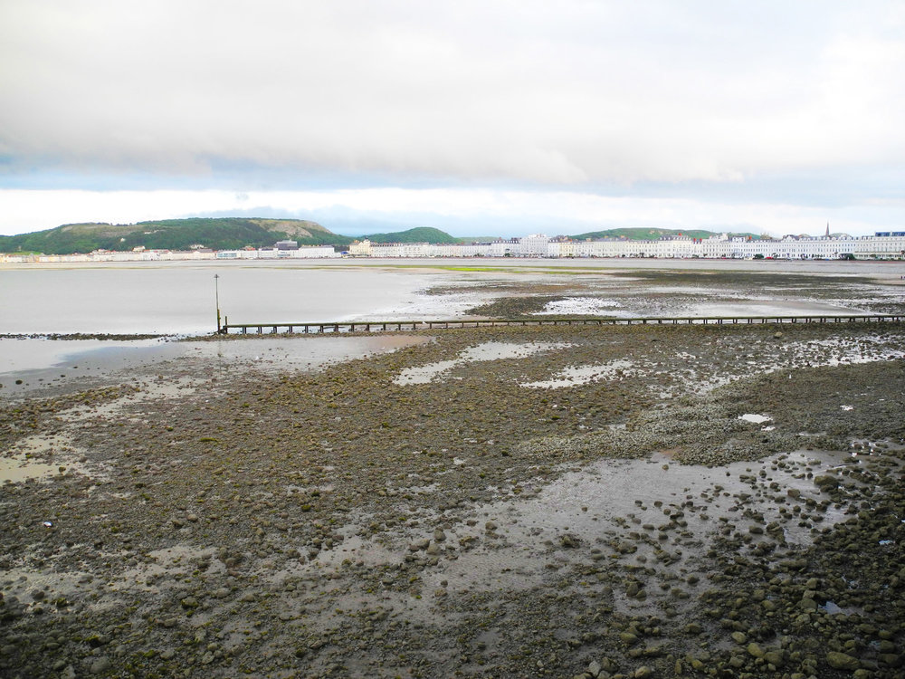 DSCN0694.jpg